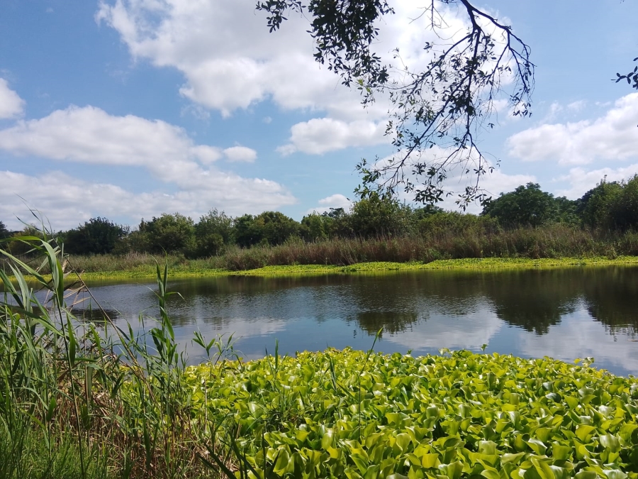 0 Bedroom Property for Sale in Krokodildrift A H North West